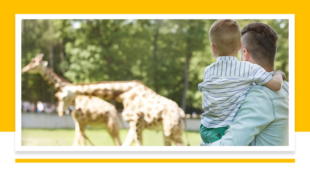 A father stands holding his son while looking at two giraffes in the background.