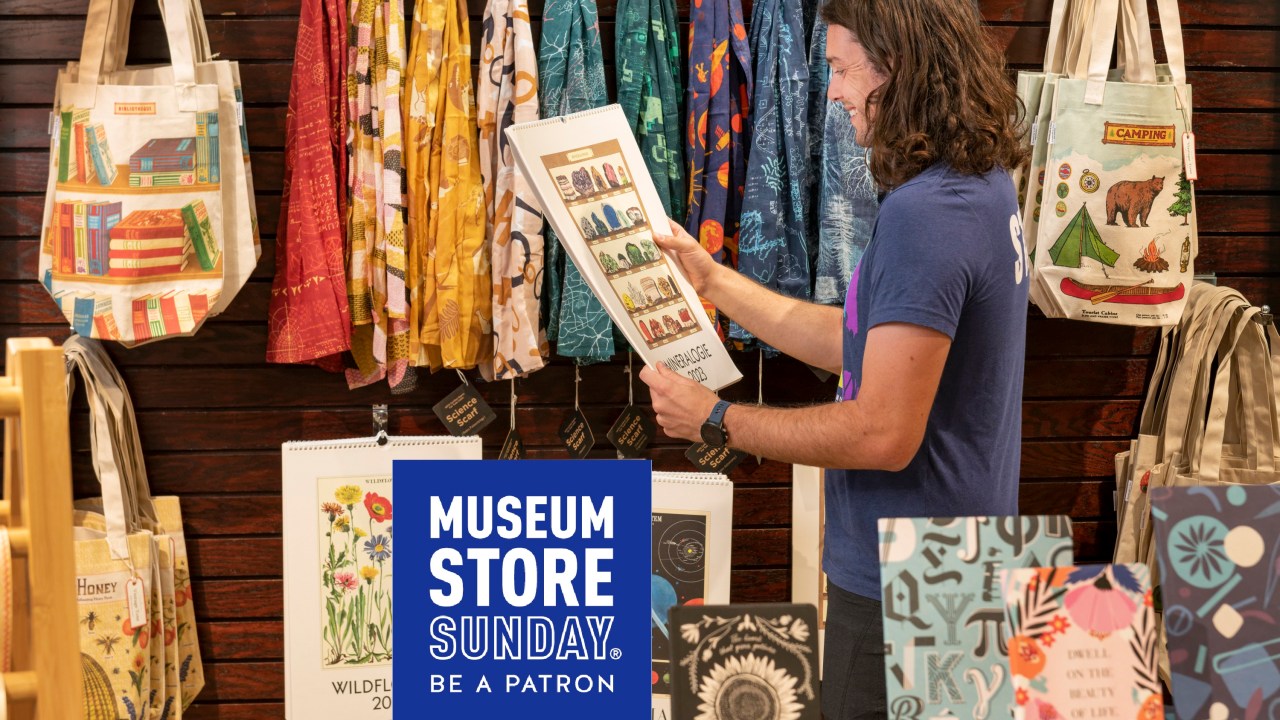 A person examining a book in a museum store. with text that says Museum Store Sunday