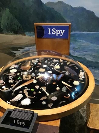 A round table behind a piece of plexiglas holds a number of small objects for people to find in the I Spy game.