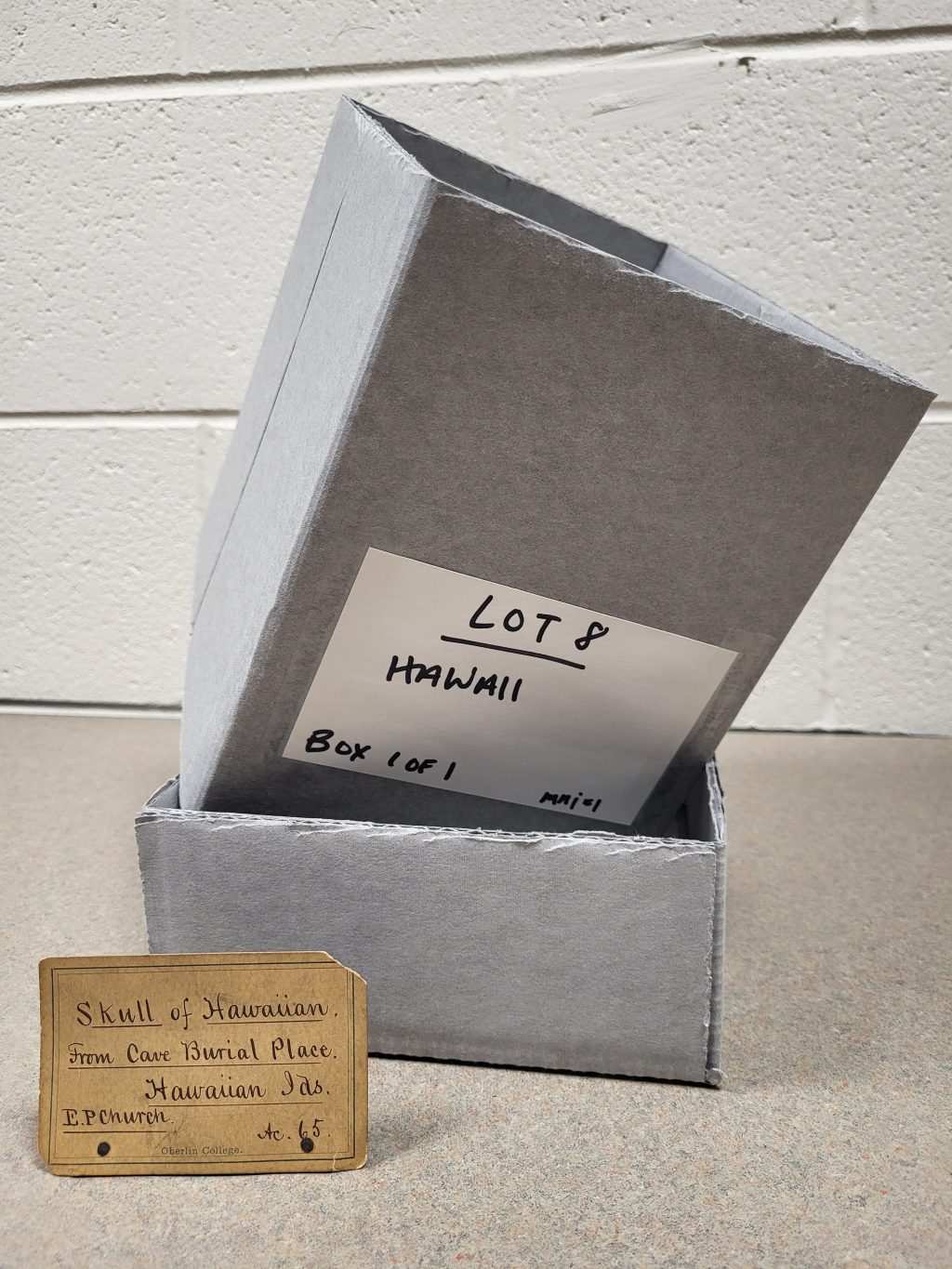 An archival box with "Lot 8 / Hawaii / Box 1 of 1" written on it, next to the label for the skull.