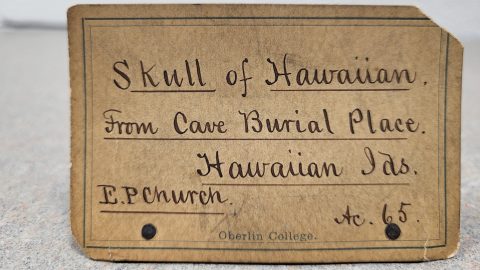 An antique label with the logo of Oberlin College and "Skull of Hawaiian, from Cave Burial Place. Hawaiian Ids. E.P. Church. Ac. 65" handwritten on it.
