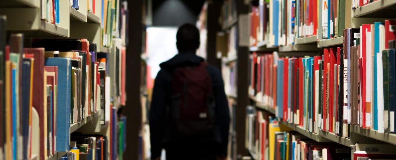 Someone browsing library shelves