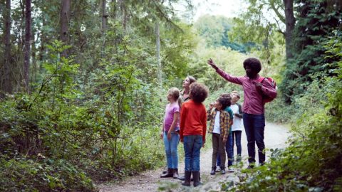 A group of children being led through the woods by an adult as the adult points to something in the trees.