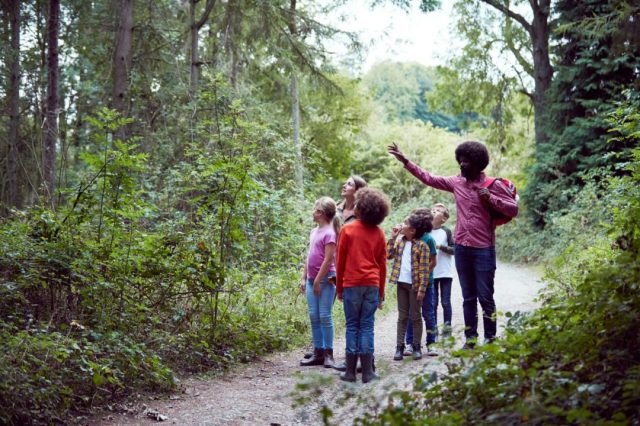A group of children being led through the woods by an adult as the adult points to something in the trees.