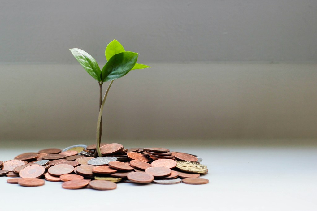A small plant with only four leaves is growing out of a pile of coins.
