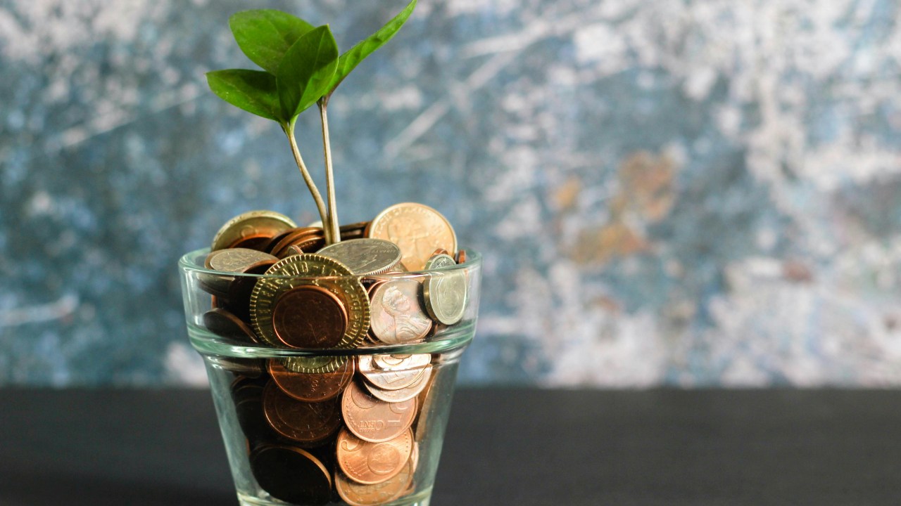 A glass containing a number of different types of coins has a small budding plant growing from it.