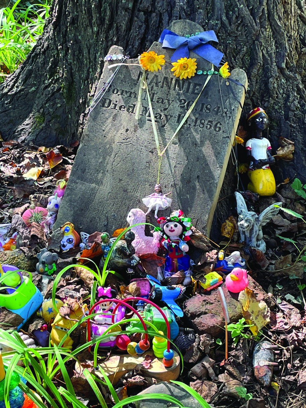 The tombstone of “Nannie,” who has since been identified as a free person of color named Francis Tenney, at Mt. Zion Cemetery in Washington, DC.