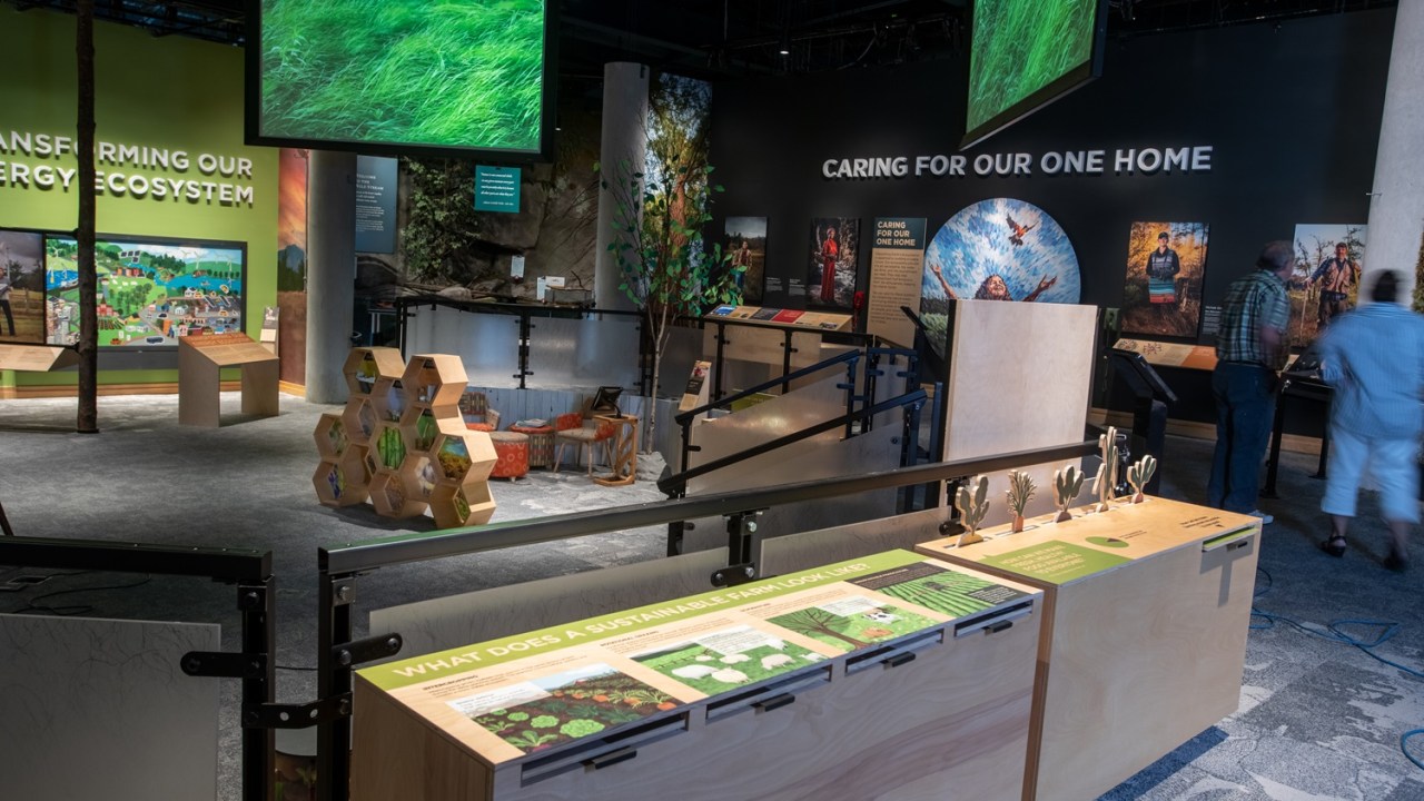 View of an exhibition with objects on pedestals placed throughout an open area.