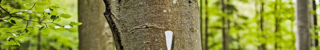 A tree marked with an exclamation point and a curving road symbol