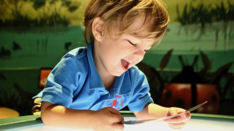 Announcing the Museum Playful Learning Collective: Shaping the Future of Early Childhood Education