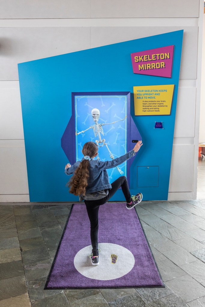 A child posing in front of an image of a skeleton next to a sign that says "Skeleton Mirror / Your skeleton keeps you upright and able to move. It also protects your brain, heart, and other organs. Strengthen your skeleton by walking and eating high-calcium foods."