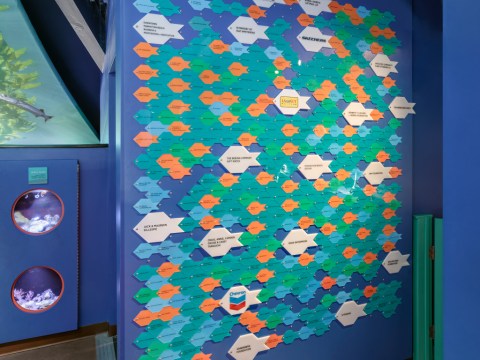 Designers at CambridgeSeven used the principle of "design for deconstruction" for this donor panel recognition wall at the Roundhouse Aquarium in Manhattan Beach. They selected a security screw that works well as the eye of the fish. As donors need to be updated, instead of replacing the entire wall, each fish can be printed easily and added or removed as required.