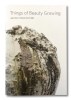 View of the Things of Beauty Growing exhibition collateral material with the image of a rough hewn piece of pottery on the cover. 