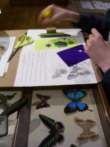 A student works on an activity that involves drawing and cutting from pieces of colored paper.