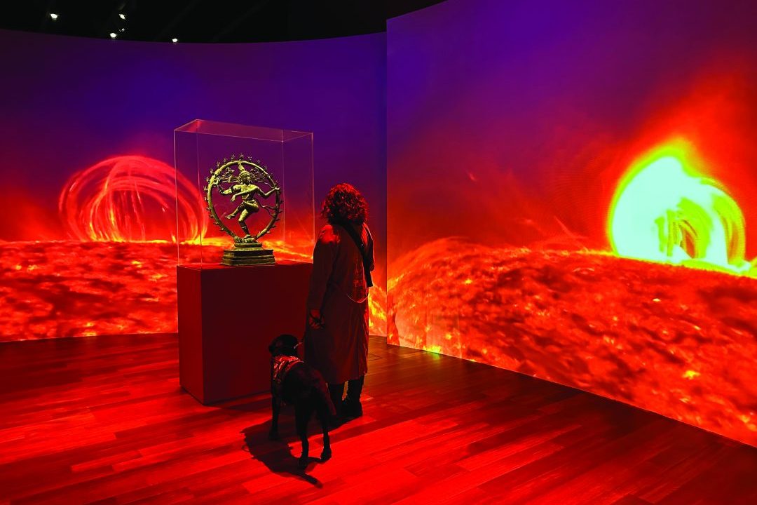 Adult with service dog exploring a museum exhibit.