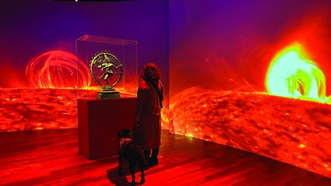 Adult with service dog exploring a museum exhibit.
