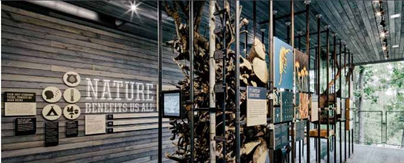 Wooden sticks and tree shapes in an exhibition.