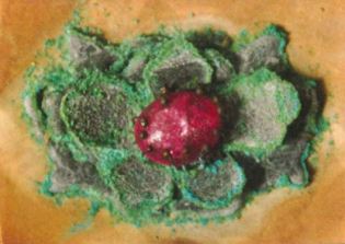 Salts cause damage to a Vietnamese plate.
