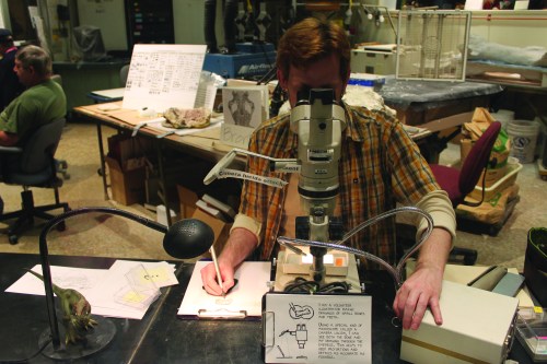 A volunteer illustrator draws small bones and teeth at the National Museum of Natural History in Washington, DC. Via Flickr, photo by Andrew Kuchling.