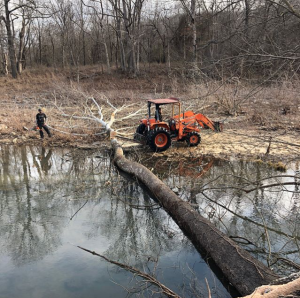 The cut tree is seen in the forest next to the equipment used.