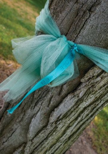 A teal ribbon wrapped around a tree trunk. 