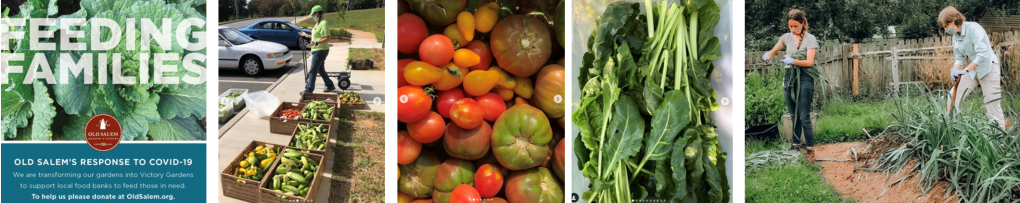 A grid of images with the title "Feeding Families" showing fresh vegetables being grown and transported to food banks