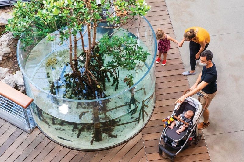 A family with small children, one in a stroller, stand next to a display with a circular, clear container with trees and fish. 
