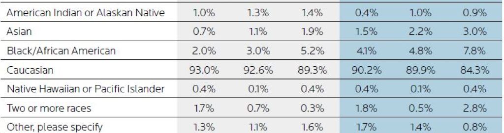 A table showing a snapshot of current board and chief executive demographics by race.