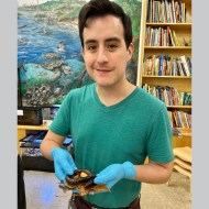 Photo of Roberto C. Chavez at work - he holds a specimen that looks like a snake, in rubber gloves. 