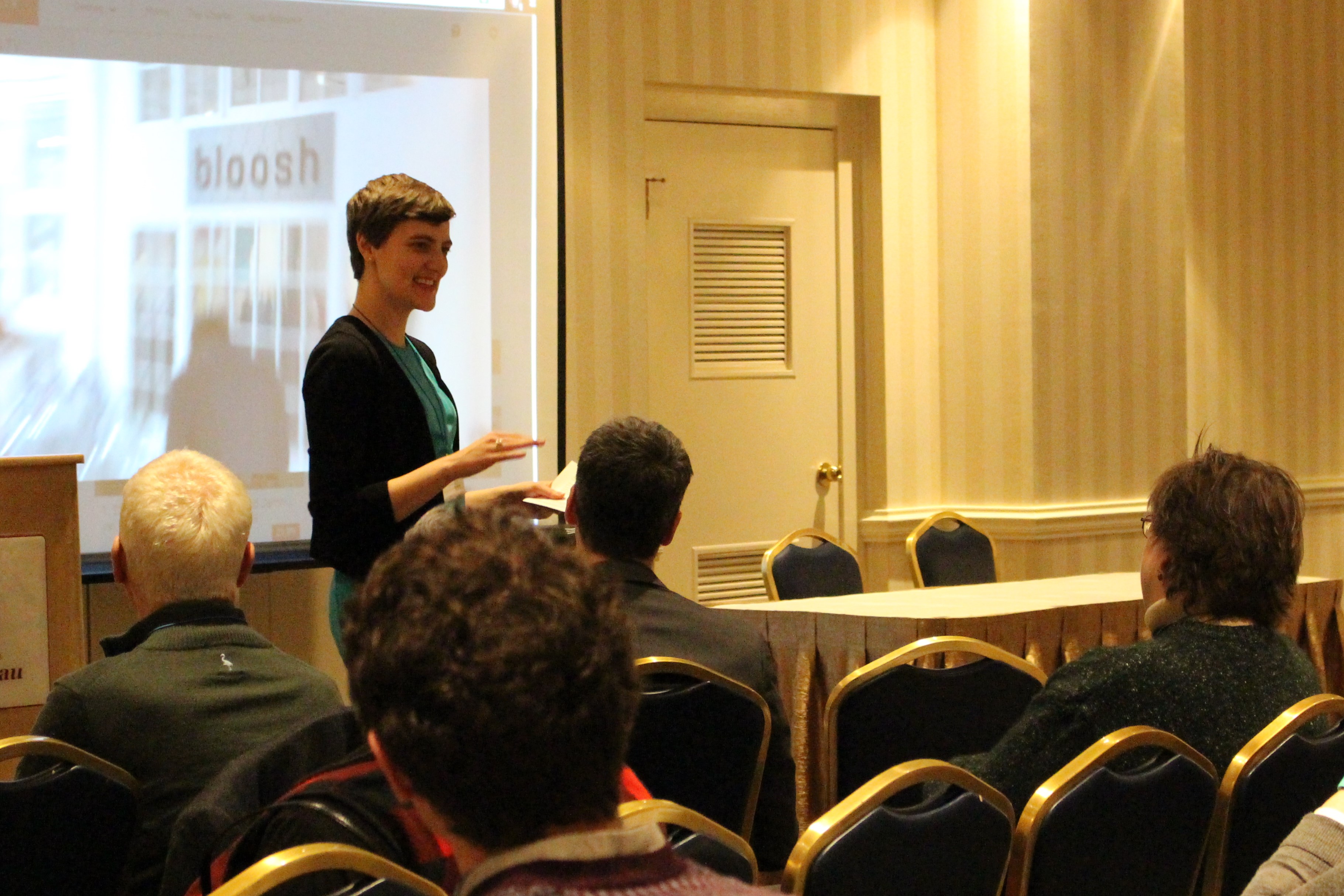 Allison Titman presenting at the Small Museum Association Conference 2017