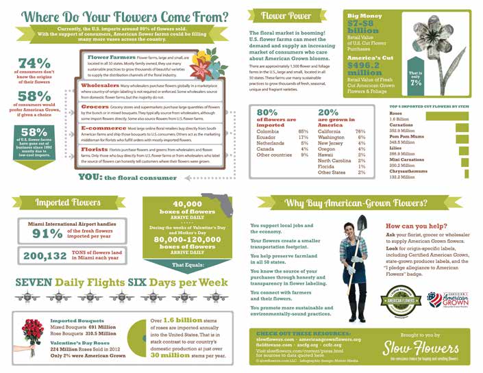An infographic showing how to grow slow flowers