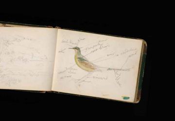 A book sits open against a black backdrop with the illustration of a bird with descriptive text
