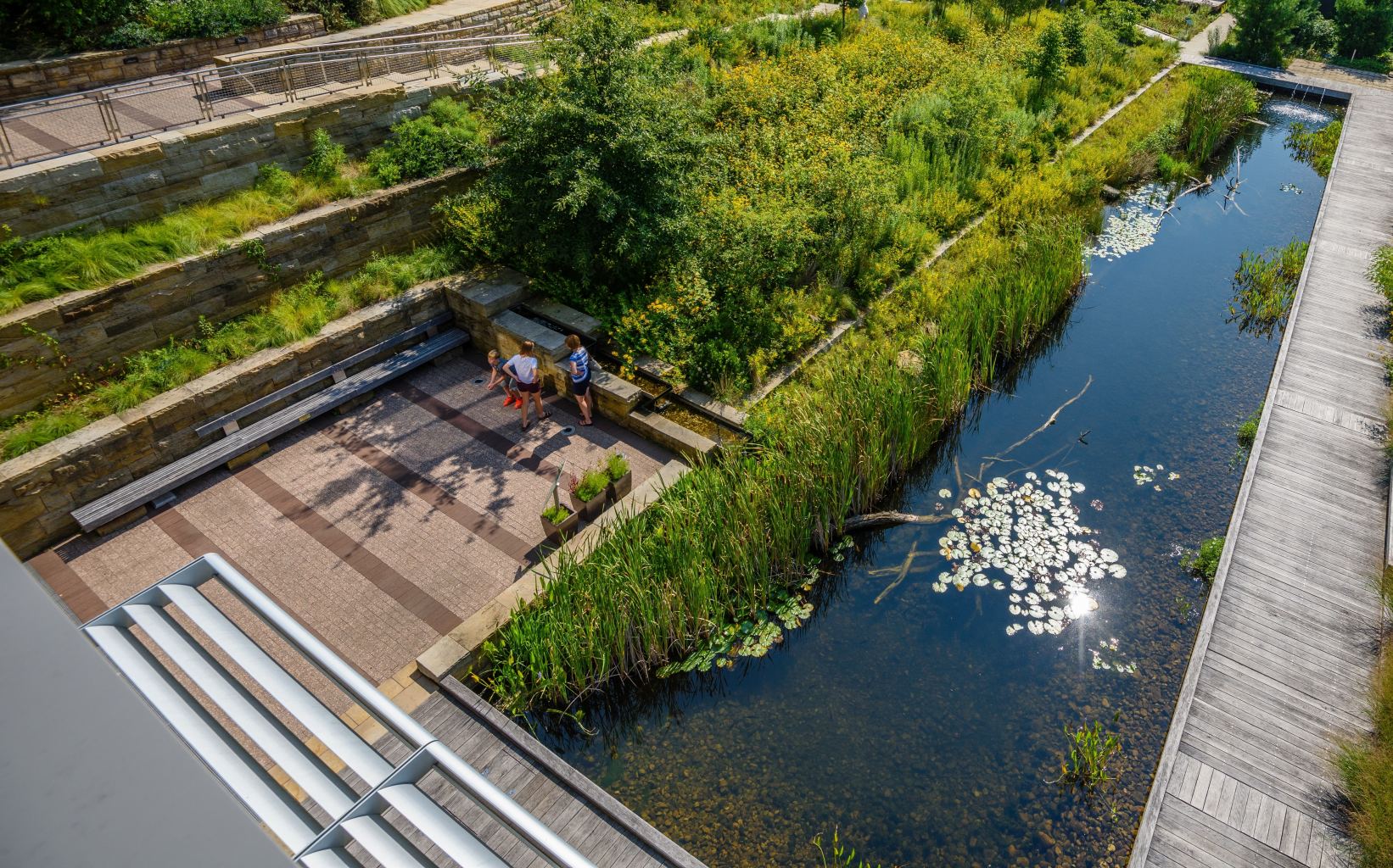 An aerial view of a lily pond, trees, and other plant life integrated into a walking trail next to buildings on the Phipps campus.
