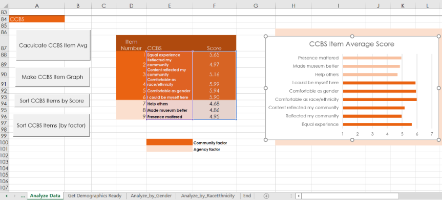 An excel sheet showing data from the belonging survey