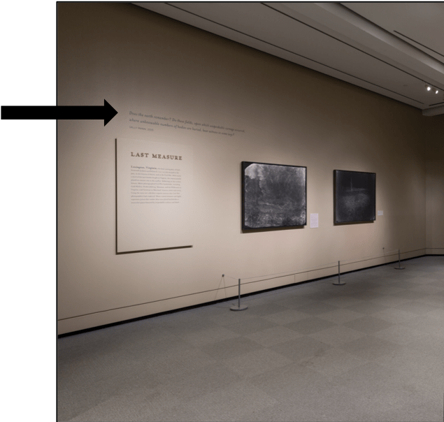 An arrow points to an artist quote printed on the wall above label text and the photographs themselves.