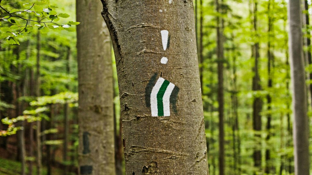 A tree marked with an exclamation point and a curving road symbol