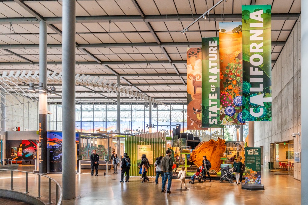 An room with soaring, high ceilings, people exploring the exhibits, and banners hanging from above "California: State of nature" with floral and fauna imagery. 