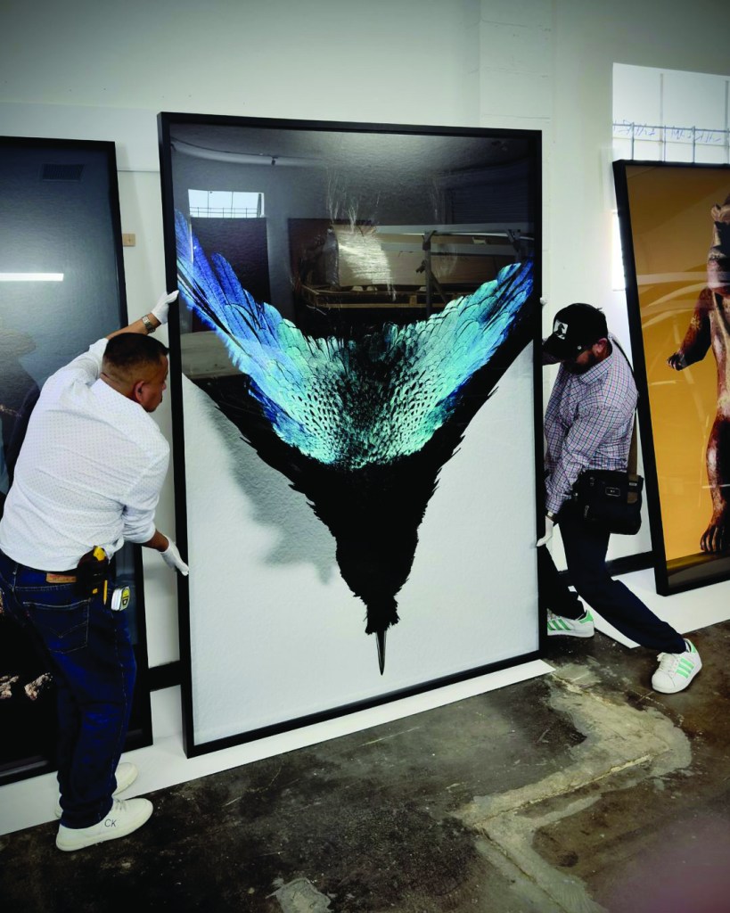 Two people wearing gloves lifting a framed close-up photograph of a bird in front of a gallery wall