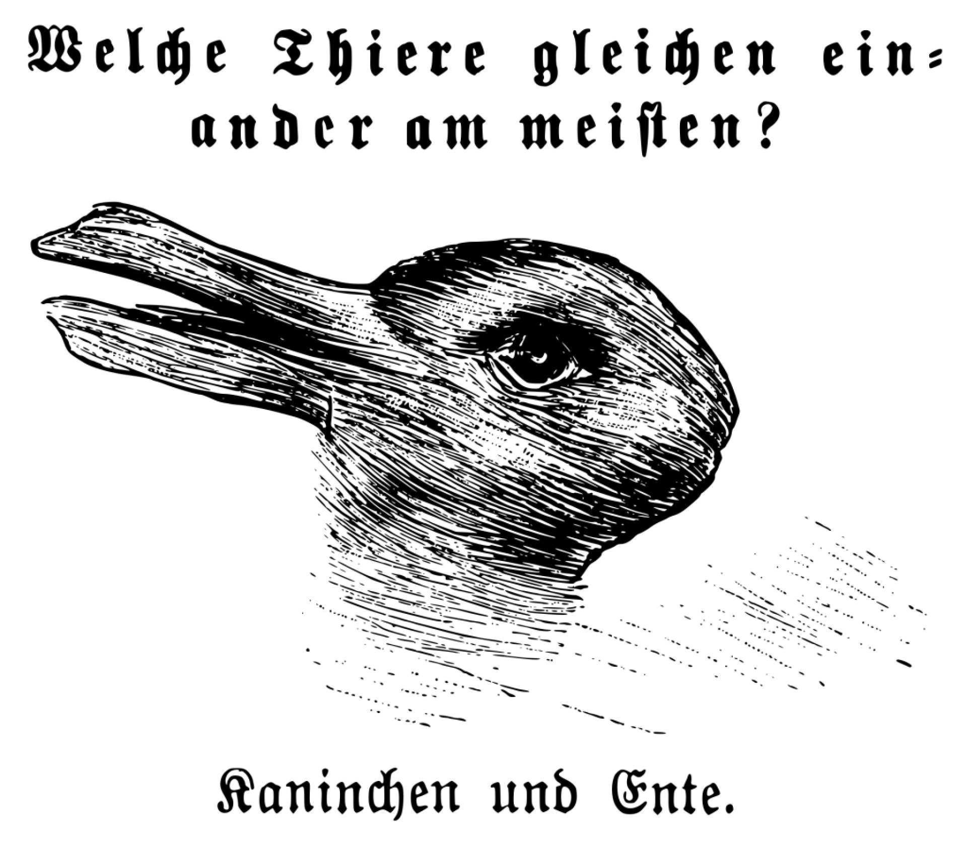 An older illustration that is an illusion that could look either like a bird or a rabbit.