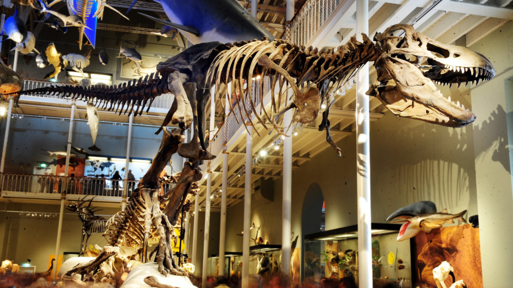 A T-Rex skeleton stands turning to the right with a steel balcony flanking and behind.