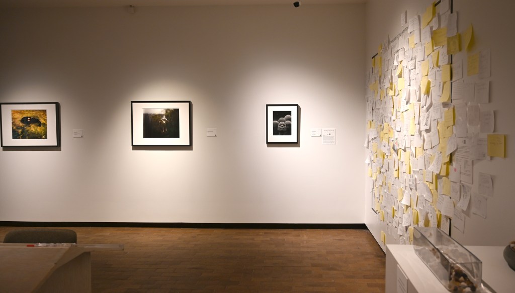 Three photographs from the Shades of Compassion with a full wall of visitor writings pasted up to the right.