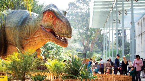 A large t-rex display in an outdoor exhibit area with visitors passing by,