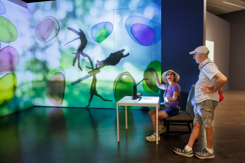 ] A woman in a sunhat, purple tee-shirt, jean shorts, and running shoes smiles a large, open-mouth smile to her companion, a man in a baseball cap, casual collared shirt, rumpled shorts, and running shoes. The couple appear to be in their 50s or early 60s. The man is standing while the woman sits on a cushioned chair at a light table. The walls surrounding them feature projections of the objects on the light table: purple and green translucent agate stones, a cigarette, and dark shapes that may be dried leaves. Together, these objects create abstract-like patterns on the walls of the gallery.