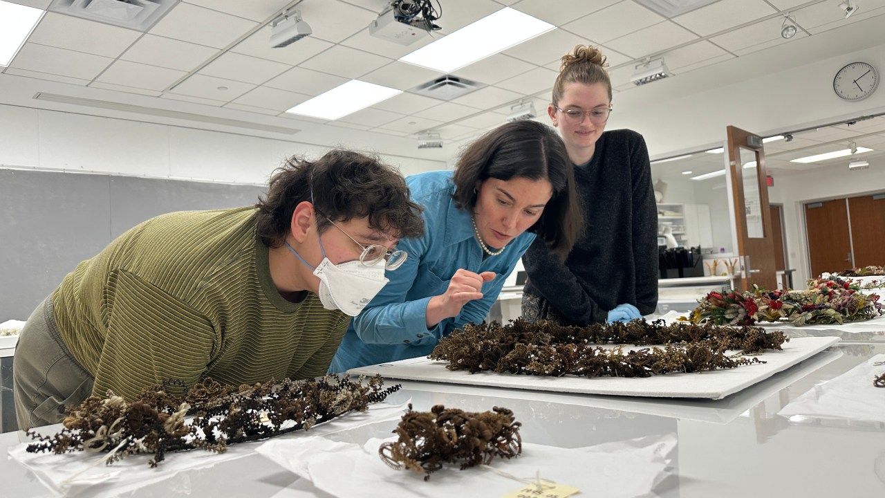 Professor Carter in the middle of two students, all looking at an artifact.