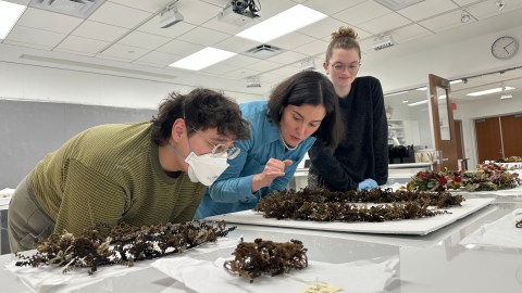 Professor Carter in the middle of two students, all looking at an artifact.