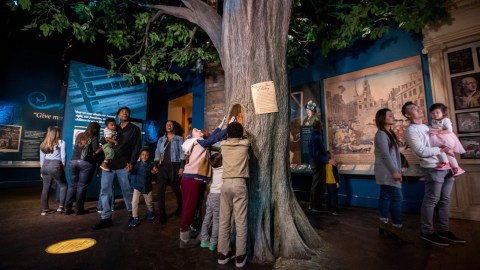 A replica of a tree rises from the center of a crowded museum gallery. Visitors of all ages and appearances talk, walk, and look at the objects and displays around them. A group of children crowd around the tree, touching a sample of real wood that is embedded in the replica's trunk.