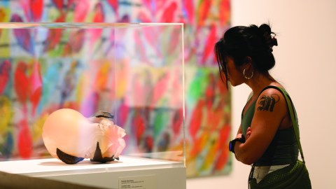 A visitor looking at a sculpture in a glass case.