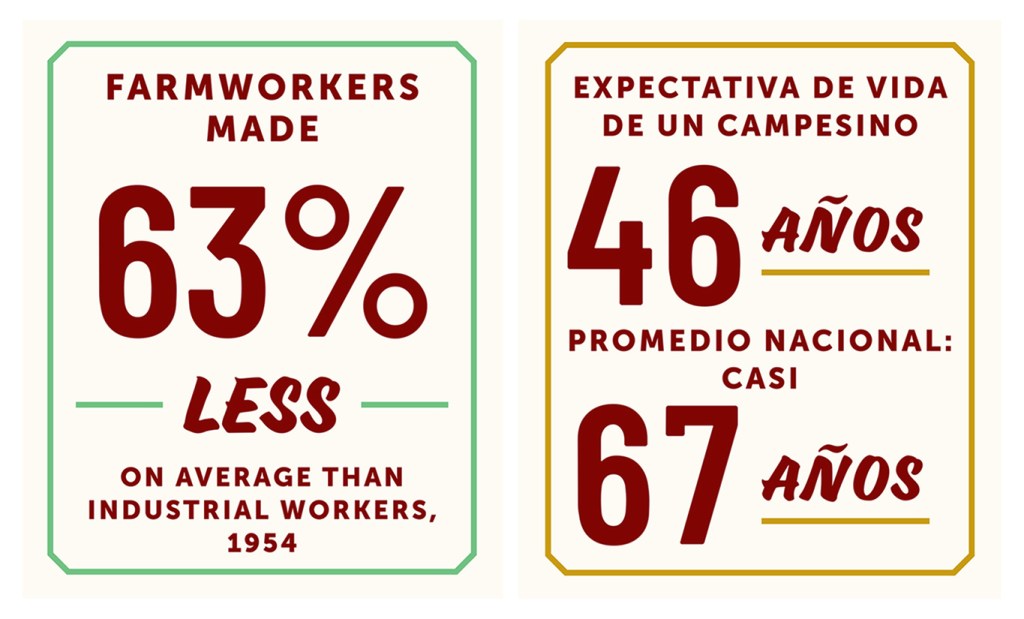 Two graphics appear side-by-side demonstrating how designers used typographic treatments to help tell the story of the United Farm Workers while also enhancing accessibility. Each sign uses a bold, infographic style that mimics a grocery store placard to share data with visitors. The sign on the left is in English and the one on the right is in Spanish.
