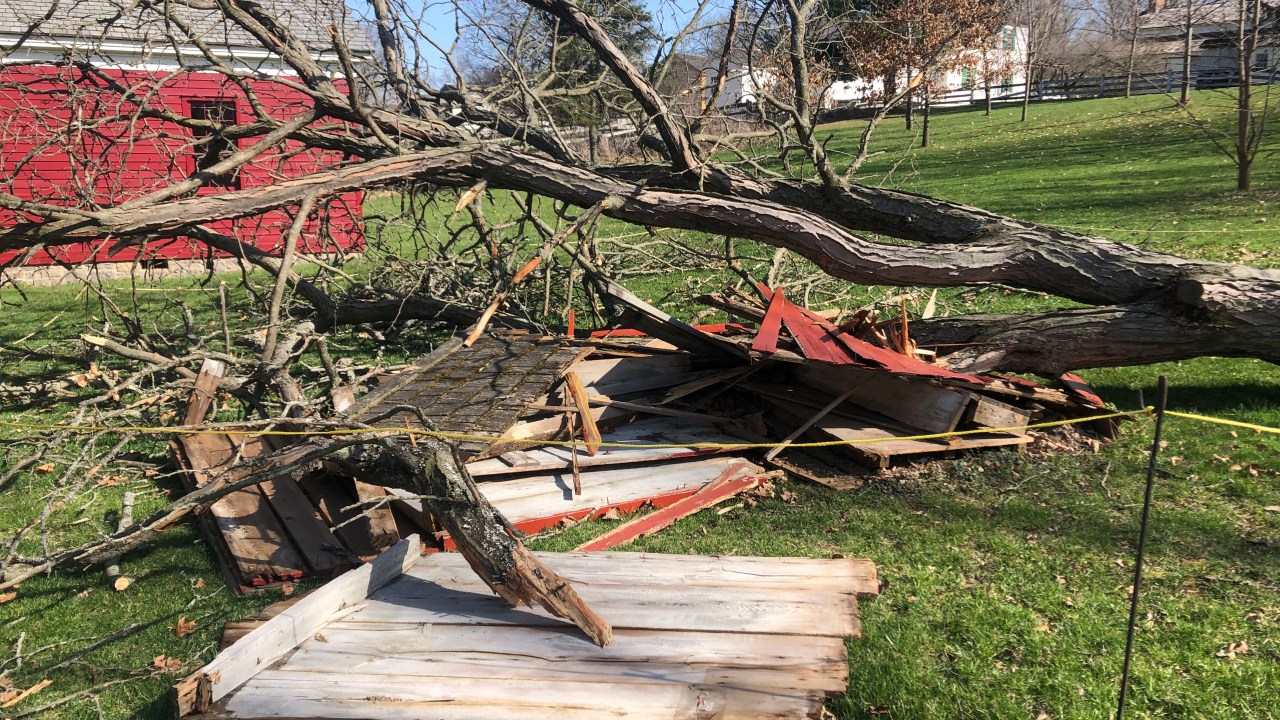 A broken tree on the grass in front of a red barn