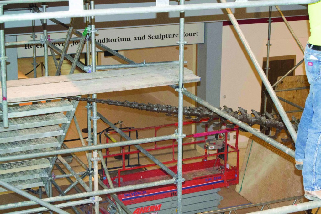 Scaffolding in a museum space closely around a dinosaur skeleton's tail.
